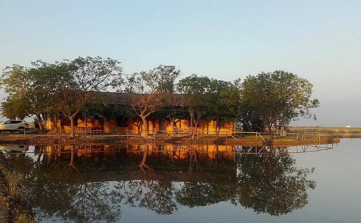 Casetes Del Delta Sant Jaume d'Enveja Dış mekan fotoğraf