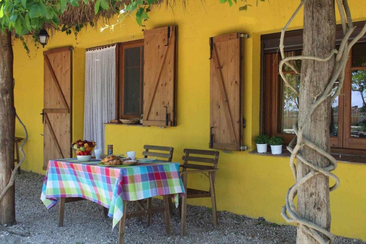 Casetes Del Delta Sant Jaume d'Enveja Dış mekan fotoğraf