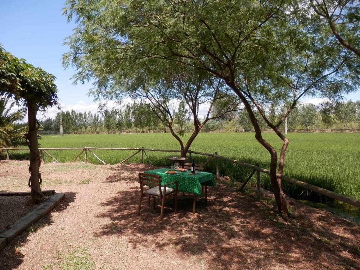 Casetes Del Delta Sant Jaume d'Enveja Dış mekan fotoğraf
