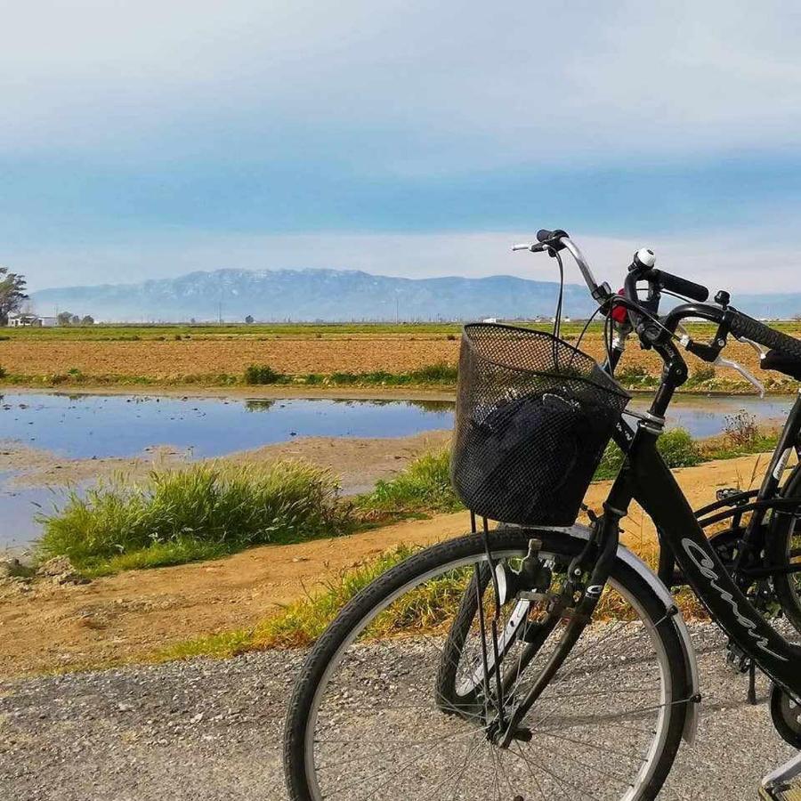 Casetes Del Delta Sant Jaume d'Enveja Dış mekan fotoğraf