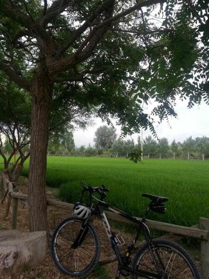 Casetes Del Delta Sant Jaume d'Enveja Dış mekan fotoğraf