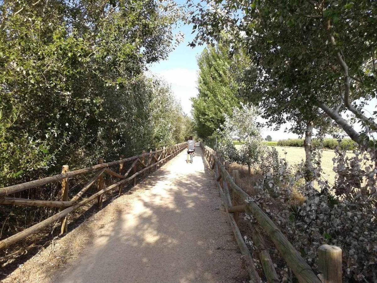 Casetes Del Delta Sant Jaume d'Enveja Dış mekan fotoğraf
